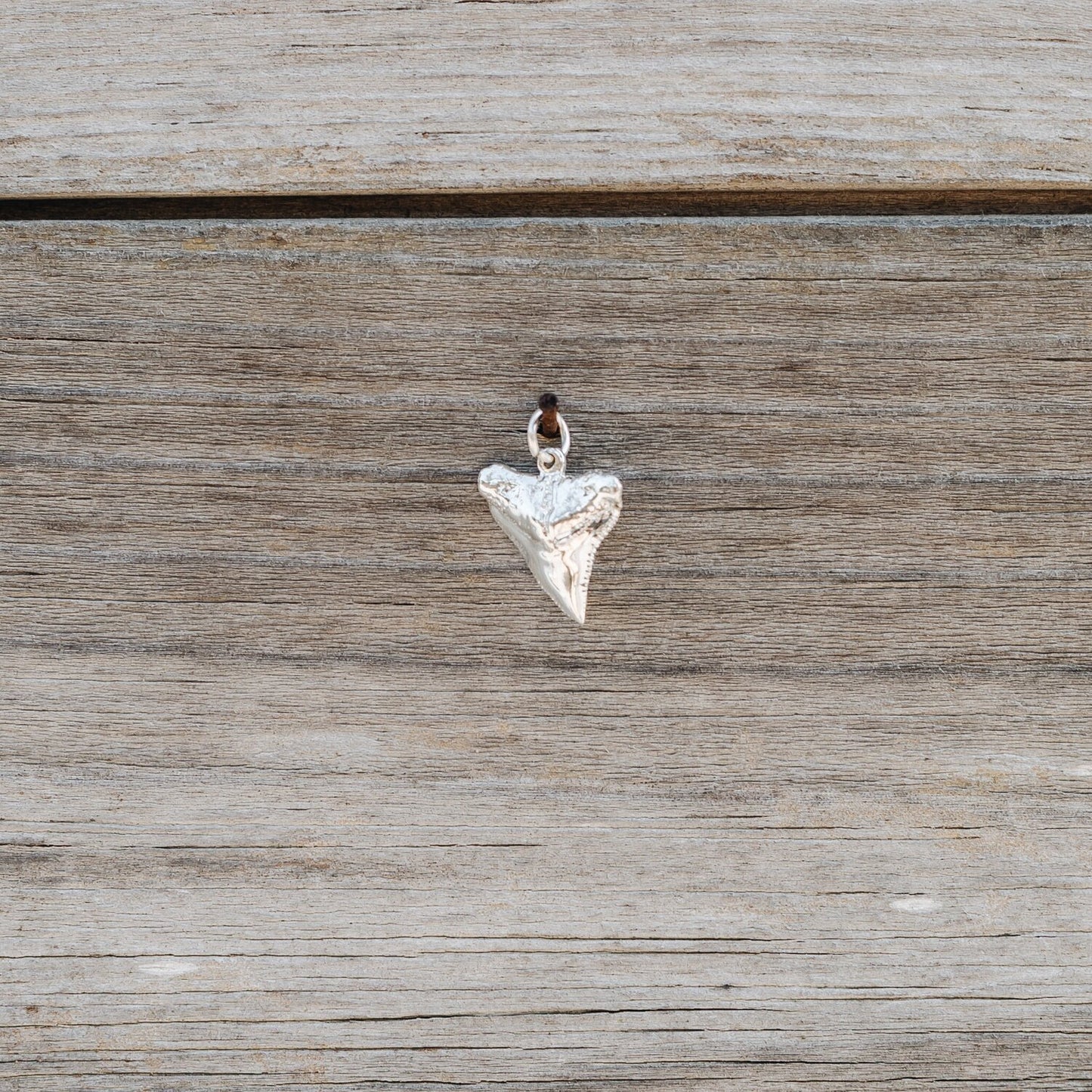 14K Yellow Gold Shark Tooth Charm/Pendant handmade by Jewel in the Sea Nantucket