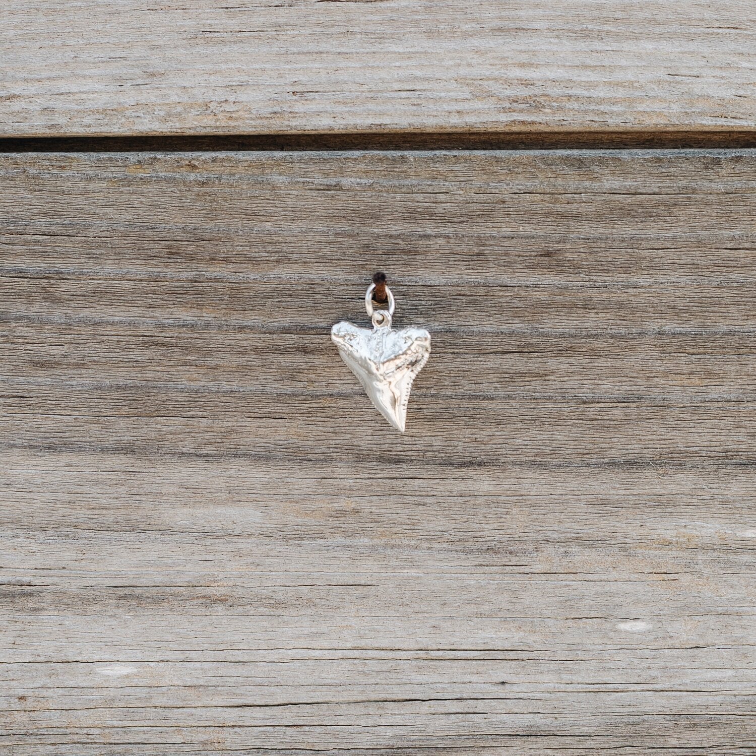 14K Yellow Gold Shark Tooth Charm/Pendant handmade by Jewel in the Sea Nantucket