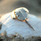 14K Yellow Gold Horseshoe Crab Charm/Pendant with a Pave-Set Diamond Tail handmade by Jewel in the Sea Nantucket
